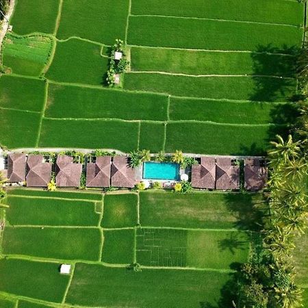 Intan Villa & Suite Ubud Екстериор снимка