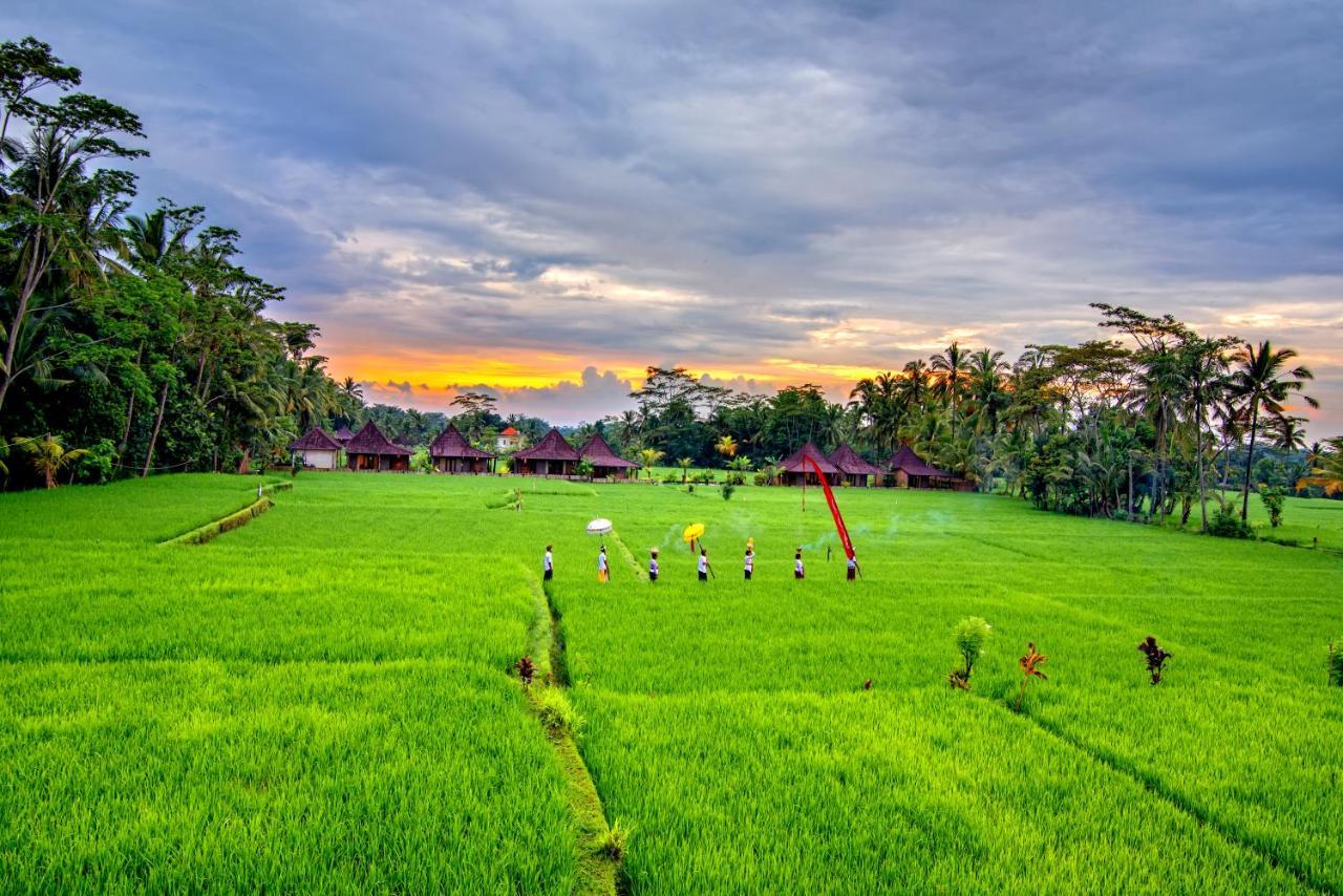 Intan Villa & Suite Ubud Екстериор снимка