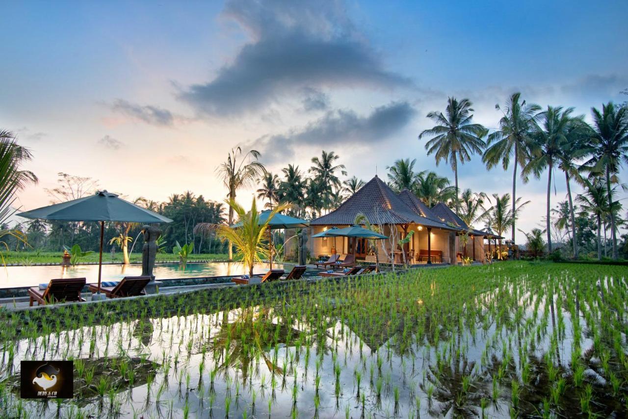 Intan Villa & Suite Ubud Екстериор снимка